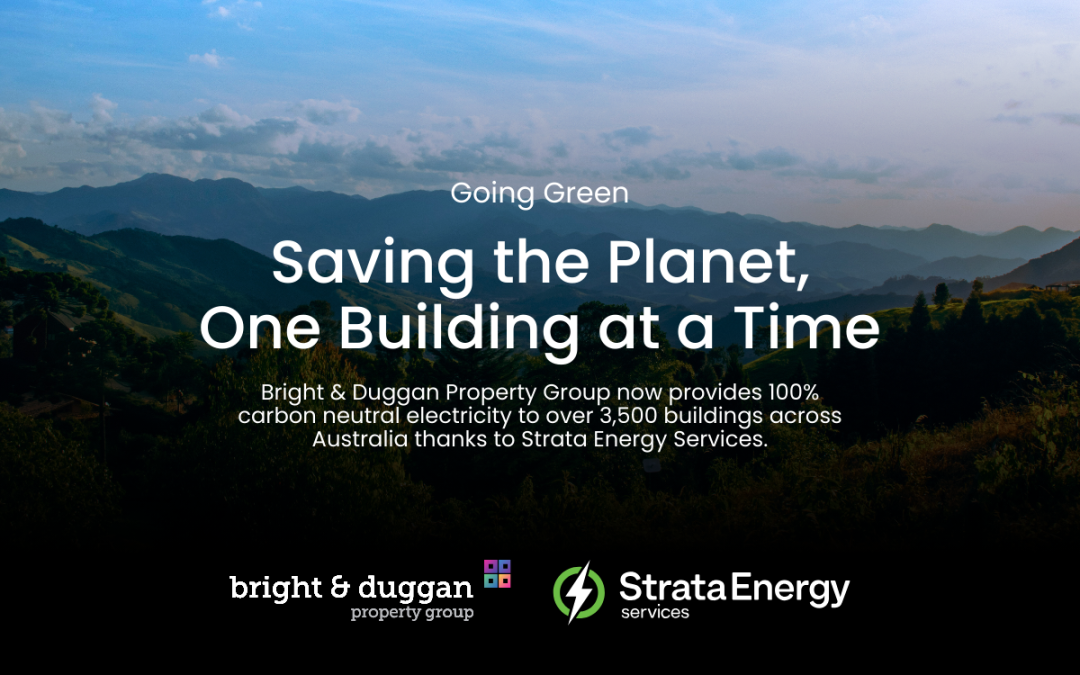 Going Green: Saving the Planet One Building at a Time