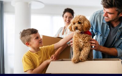 NSW Pet Legislation Update