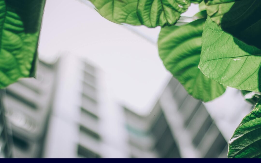 Digitising Archives: A smarter, greener future – starting where it’s possible