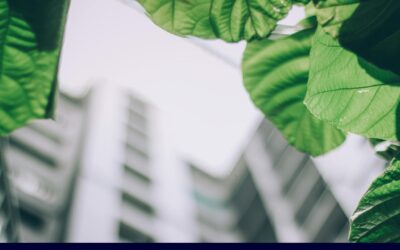 Digitising Archives: A smarter, greener future – starting where it’s possible